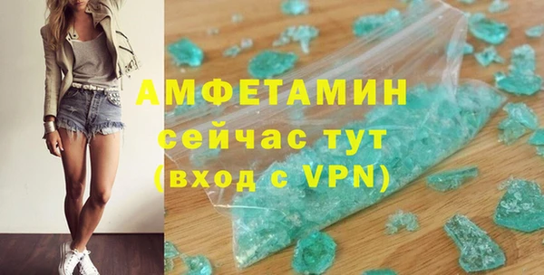 мет Ельня