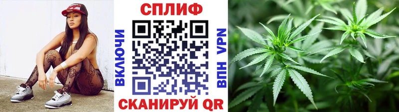 Бошки марихуана THC 21%  Купить где  Пыть-Ях 